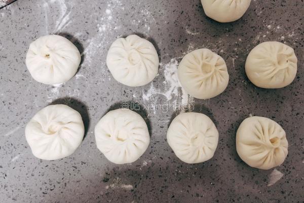 香菇青菜包子的做法图解19