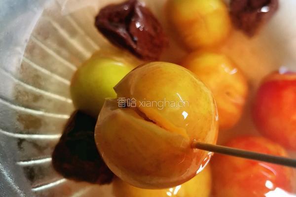 话梅李子的做法图解3