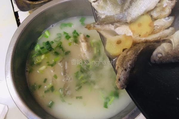 香葱鲫鱼汤的做法图解9