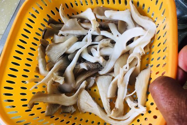 清炖土鸡的做法图解10