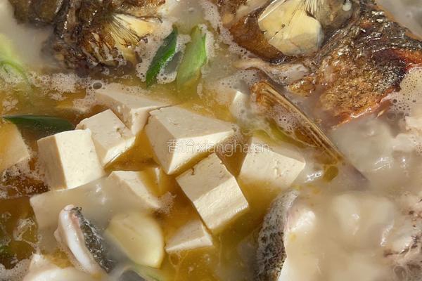 鱼头豆腐汤的做法图解4