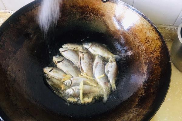 冬瓜豆腐鲫鱼汤的做法图解3