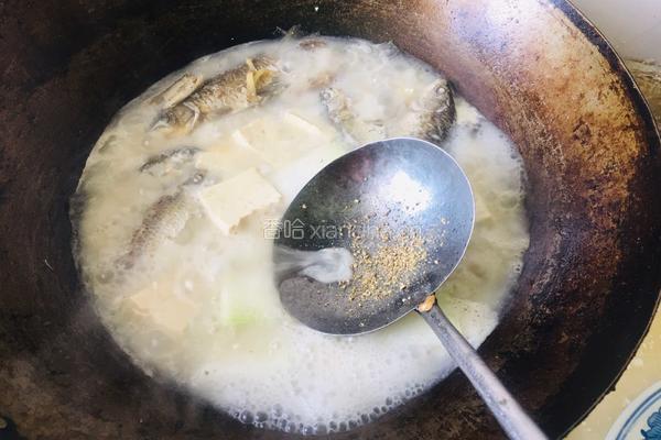 冬瓜豆腐鲫鱼汤的做法图解6