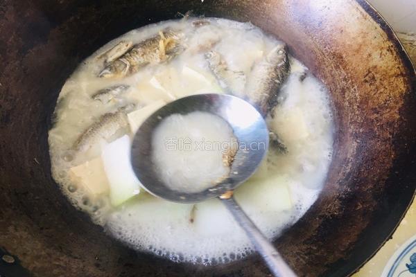冬瓜豆腐鲫鱼汤的做法图解7
