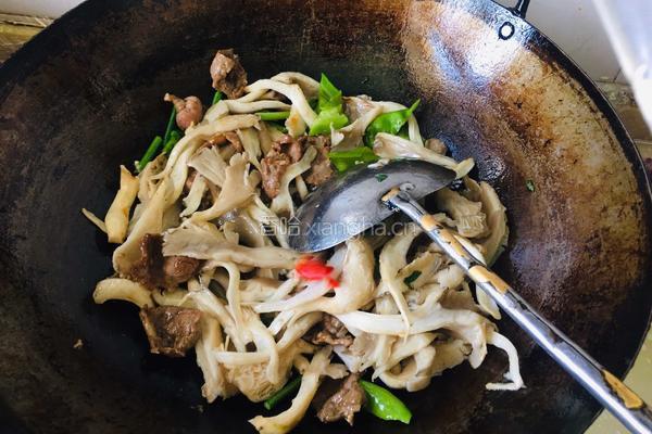 平菇炒肉片的做法图解6