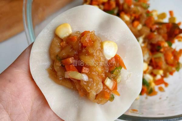 鸡胸肉饺子的做法图解7