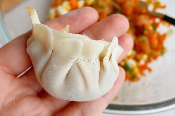 鸡胸肉饺子的做法图解8