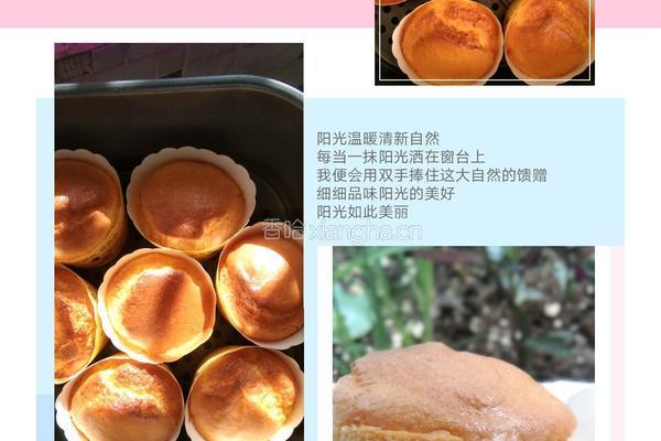 纸杯蛋糕的做法图解10