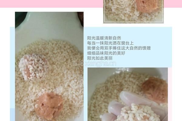 糯米珍珠肉丸的做法图解3