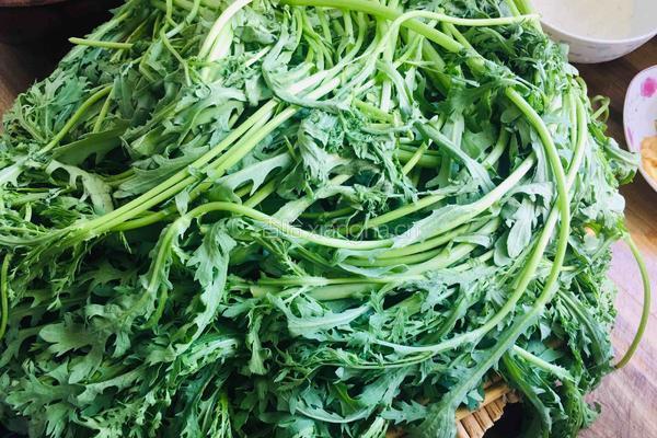 炒面蒸茼蒿的做法图解1