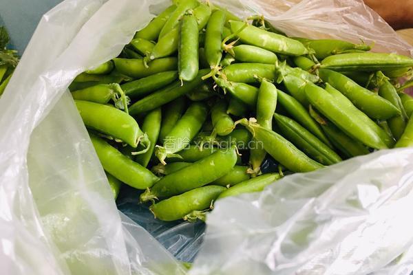 白水豌豆荚的做法图解1