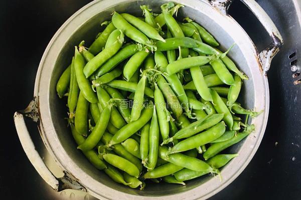 白水豌豆荚的做法图解2
