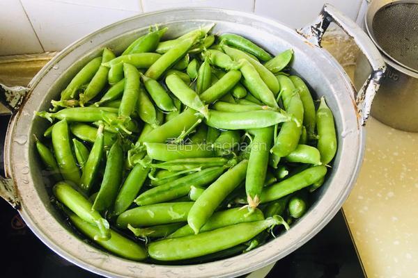 白水豌豆荚的做法图解3