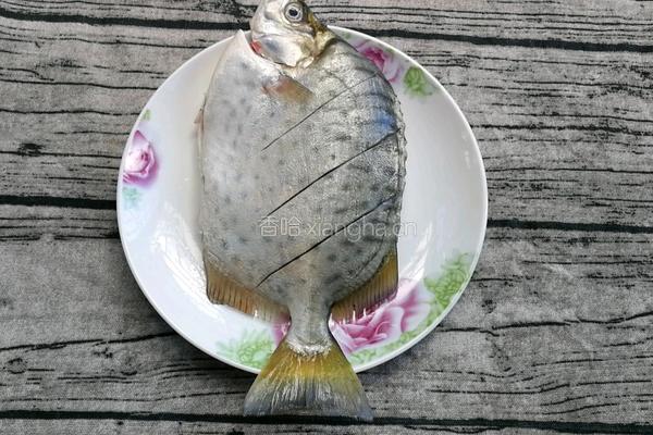 香煎金鼓鱼的做法图解4