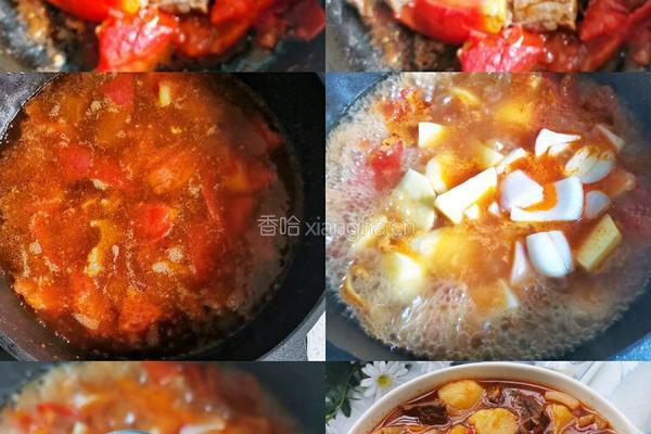 番茄土豆炖牛肉的做法图解2