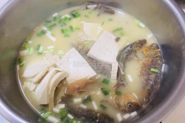 鲫鱼豆腐汤的做法图解7