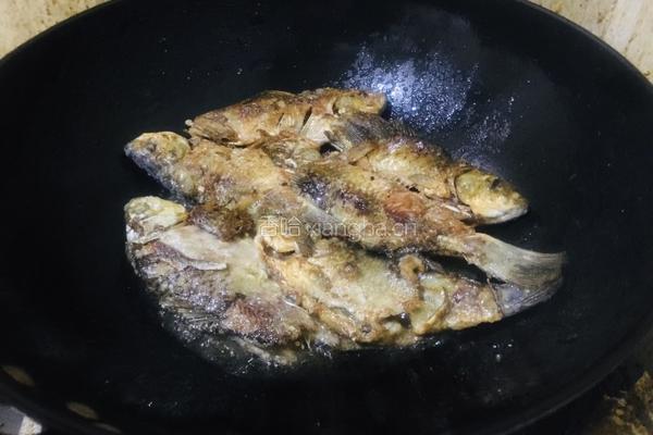 红烧野生鲫鱼的做法图解3