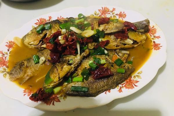 红烧野生鲫鱼的做法图解8