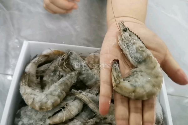 快手菜 白灼大虾董老师的业绩有我一份贡献的做法图解2