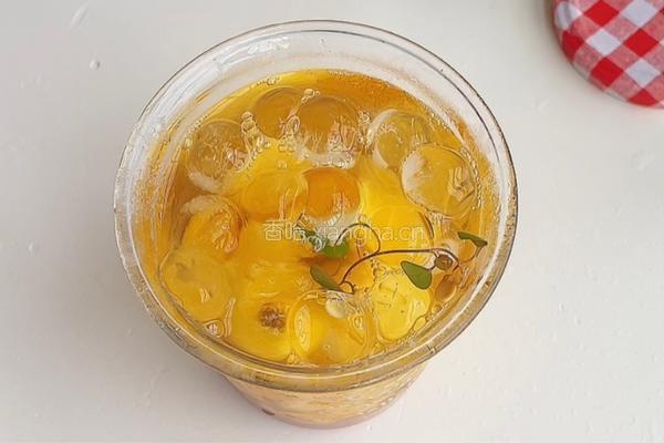 西瓜树莓茶的做法图解7