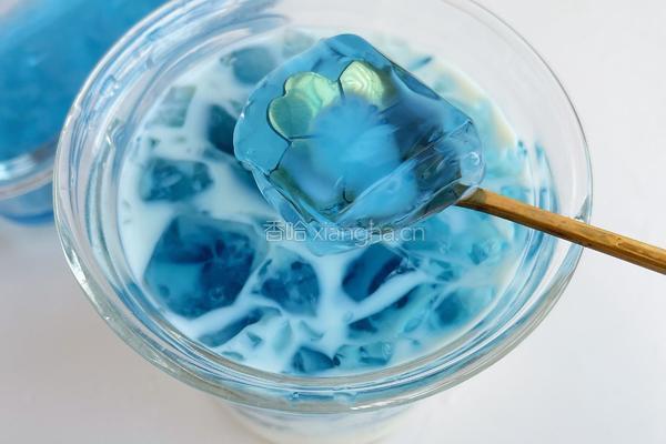 蝶豆花冻撞豆乳的做法图解11