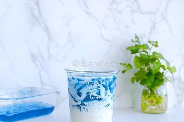 蝶豆花冻撞豆乳的做法图解12