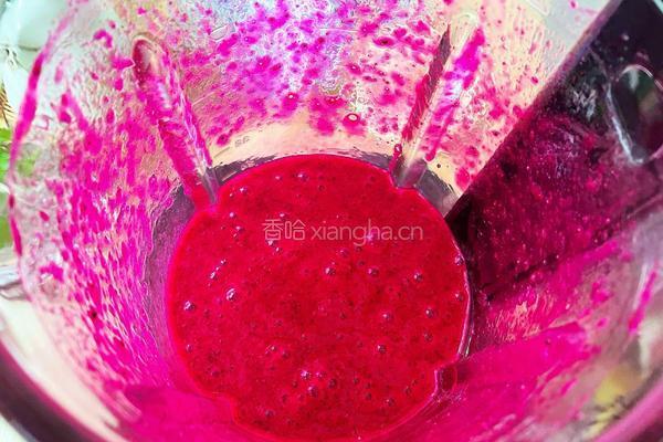 火龙果雪糕的做法图解3