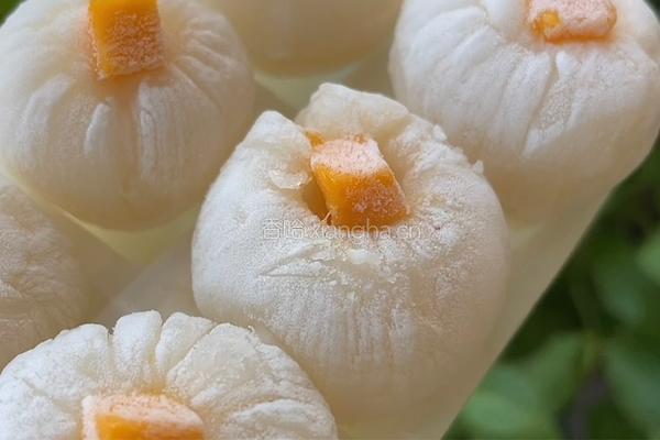 荔枝酸奶冰的做法图解9