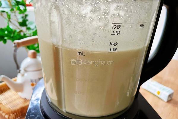 绿豆沙牛乳的做法图解5