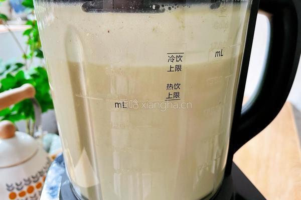 绿豆沙牛乳的做法图解7