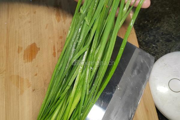 自制蓬松劲道韭菜饼的做法图解3