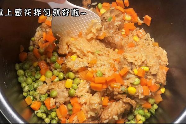 排骨焖饭的做法图解8