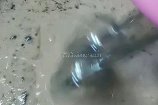 自制冰淇淋(冰淇淋粉)的做法图解9