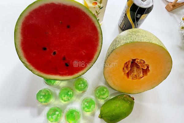 水果茶气泡饮的做法图解1