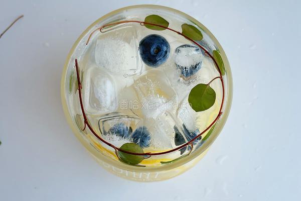 荔枝蓝莓气泡饮的做法图解11