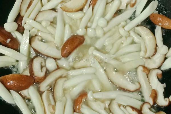番茄菌菇豆腐汤的做法图解7