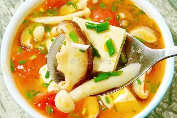 番茄菌菇豆腐汤的做法图解17