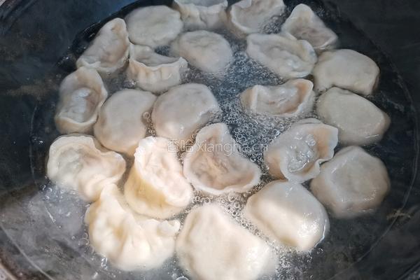 冬瓜猪肉水饺的做法图解6