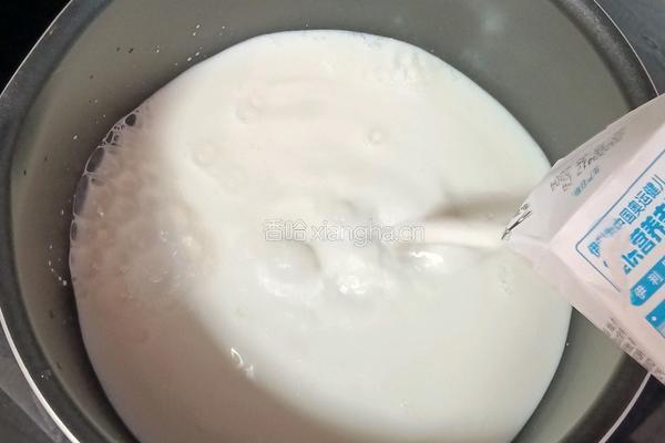 牛奶芒果雪糕的做法图解7