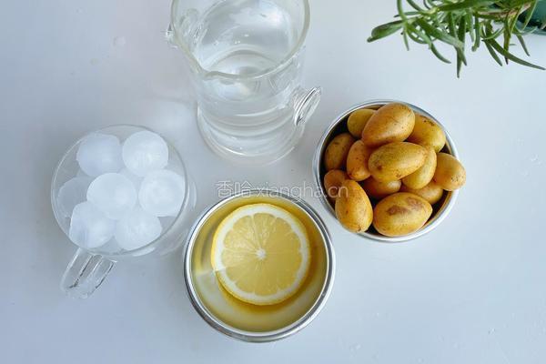 夏日解腻黄皮气泡水的做法图解1
