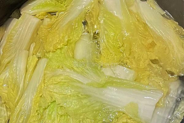 花费10元的上班美味便当丨西红柿炒蛋白灼娃娃菜照烧洋葱炒牛肉的做法图解4