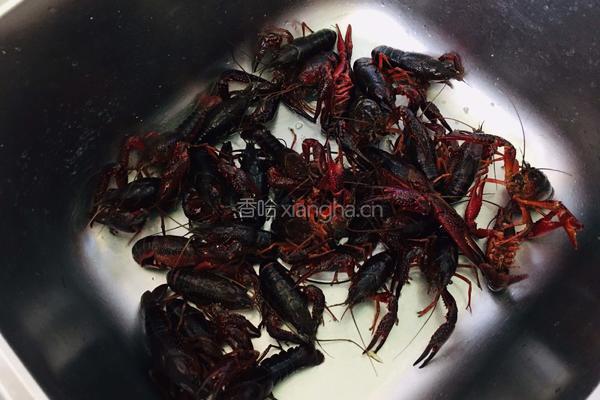 蒜香小龙虾的做法图解1