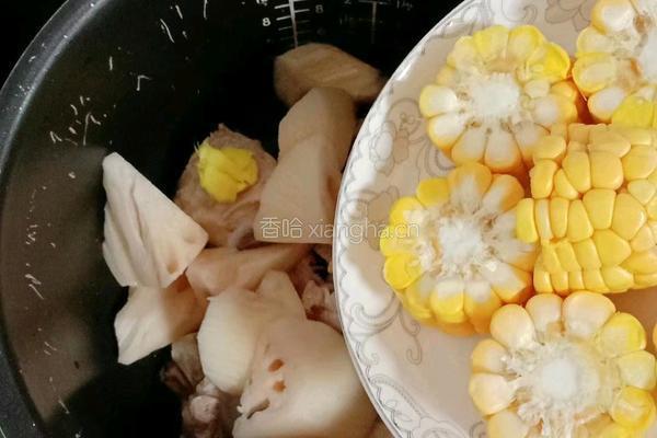 虫草花猪骨汤的做法图解9