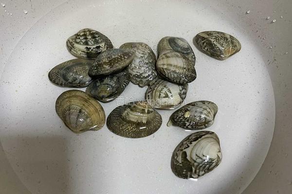 酸辣凉拌蛤蜊的做法图解2