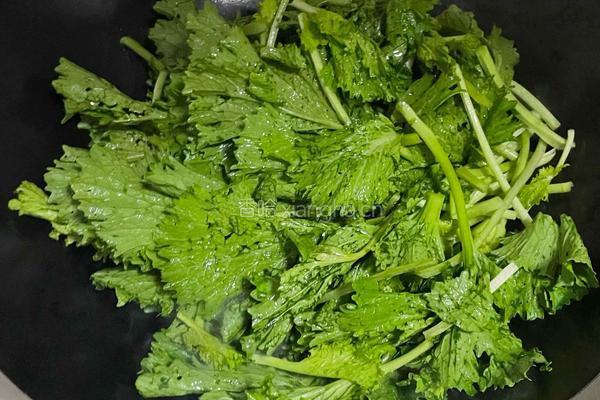 清炒皇帝菜的做法图解2