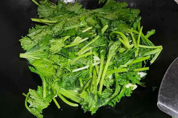 清炒皇帝菜的做法图解3
