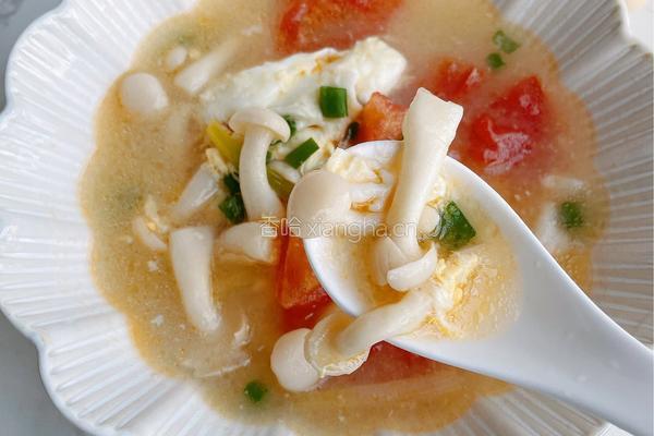 番茄海鲜菇汤的做法图解14