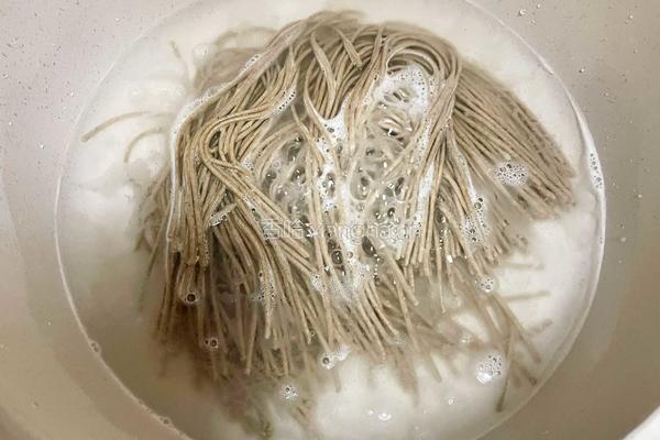 清汤荞麦面的做法图解2