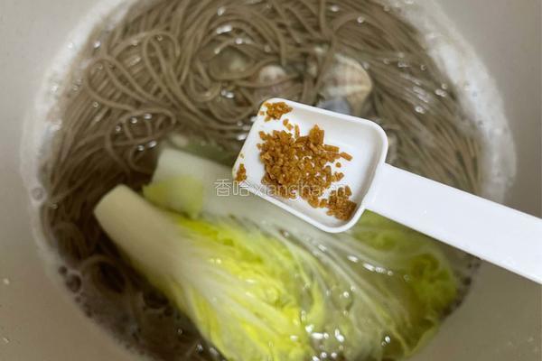 清汤荞麦面的做法图解7