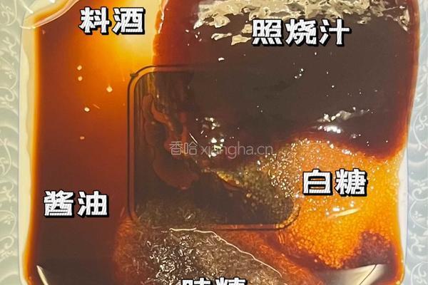 家常照烧鸡排做法的做法图解2